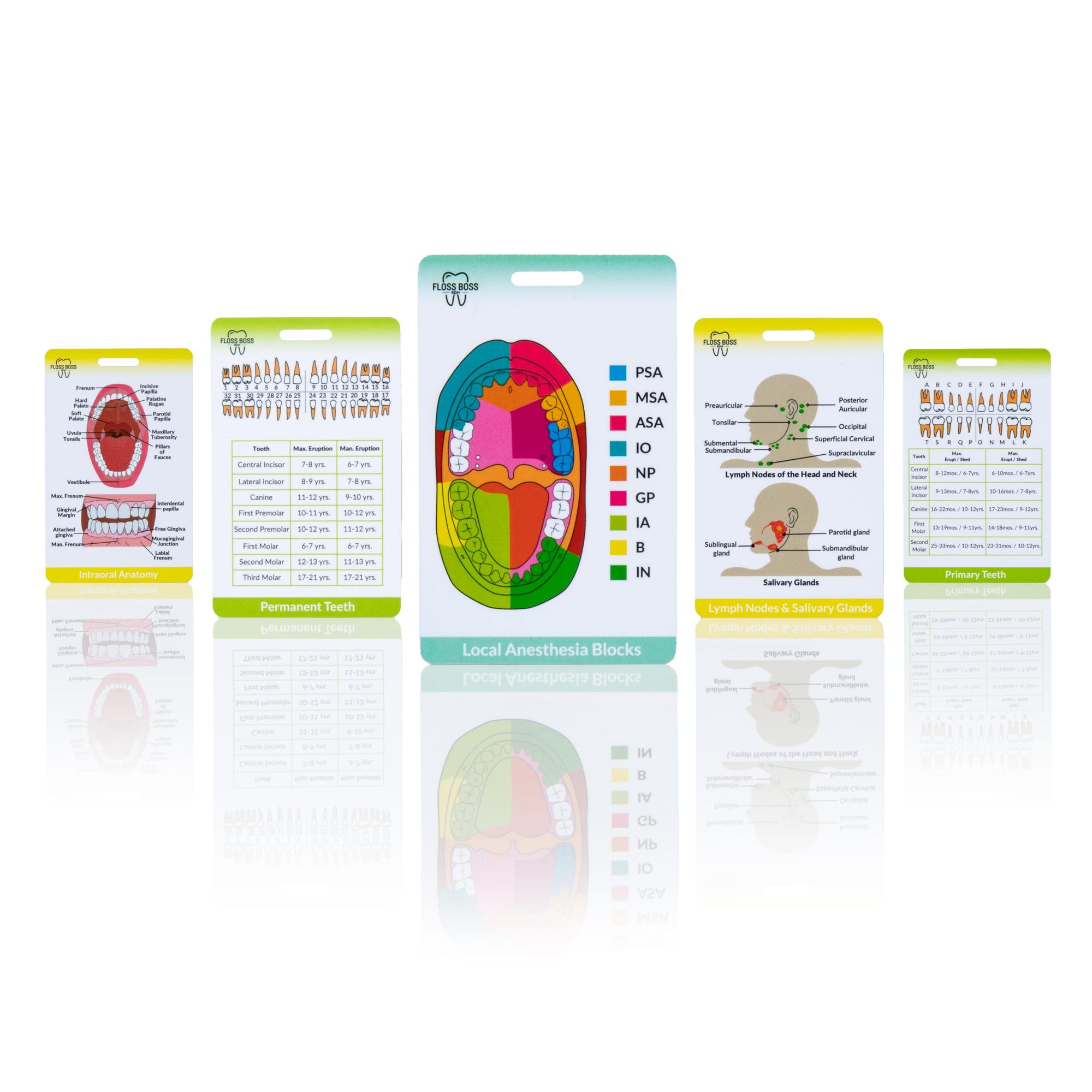 Dental Hygiene Reference & Study Cards