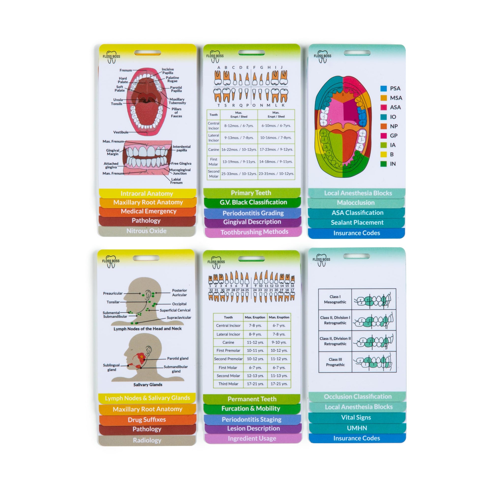 Dental Hygiene Reference & Study Cards