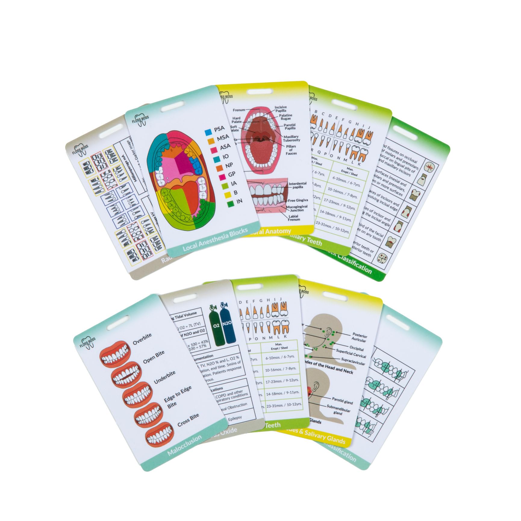 Dental Hygiene Reference & Study Cards