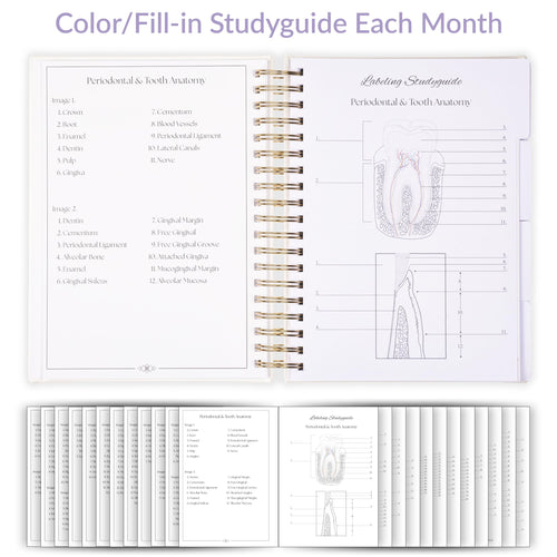 The Ultimate Dental Hygiene Student Planner (Undated) - inspireRDH